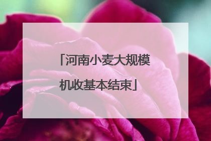河南小麦大规模机收基本结束