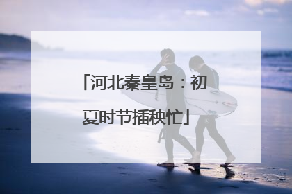 河北秦皇岛：初夏时节插秧忙