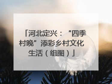 河北定兴：“四季村晚”添彩乡村文化生活（组图）
