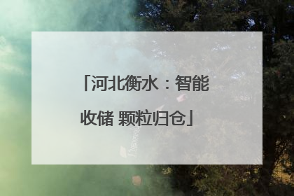 河北衡水：智能收储 颗粒归仓