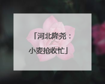 河北隆尧：小麦抢收忙