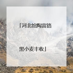 河北馆陶富铬黑小麦丰收