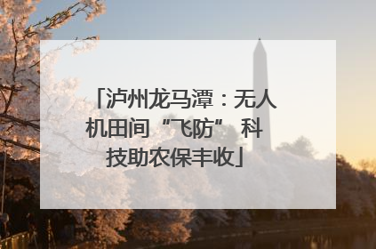 泸州龙马潭：无人机田间“飞防” 科技助农保丰收