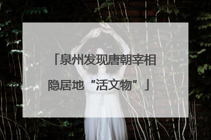 泉州发现唐朝宰相隐居地“活文物”