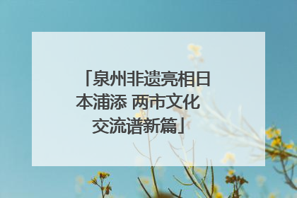 泉州非遗亮相日本浦添 两市文化交流谱新篇