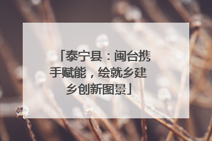 泰宁县：闽台携手赋能，绘就乡建乡创新图景