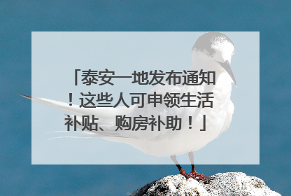 泰安一地发布通知！这些人可申领生活补贴、购房补助！