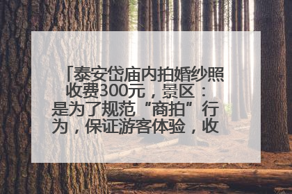 泰安岱庙内拍婚纱照收费300元，景区：是为了规范“商拍”行为，保证游客体验，收取费用全部上交国库
