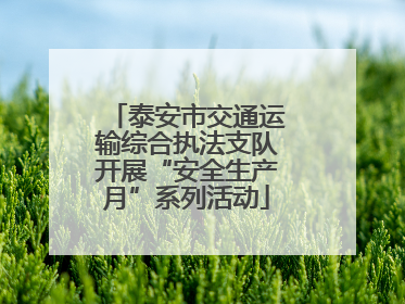 泰安市交通运输综合执法支队开展“安全生产月”系列活动