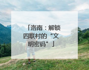 洛南：解锁四联村的“文明密码”