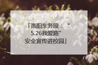 洛阳车务段：“5.26我爱路”安全宣传进校园