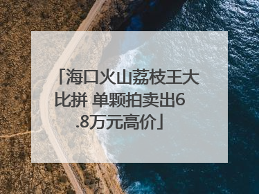 海口火山荔枝王大比拼 单颗拍卖出6.8万元高价