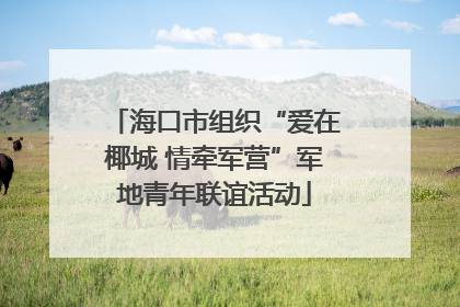 海口市组织“爱在椰城 情牵军营”军地青年联谊活动