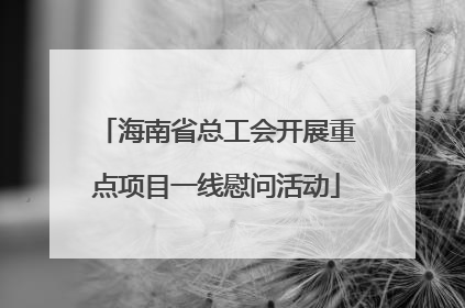 海南省总工会开展重点项目一线慰问活动