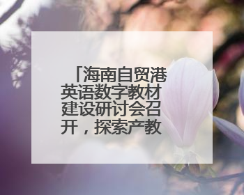 海南自贸港英语数字教材建设研讨会召开，探索产教融合新路径