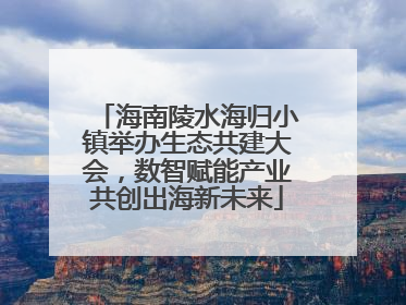 海南陵水海归小镇举办生态共建大会，数智赋能产业共创出海新未来