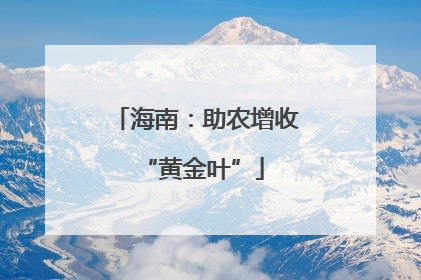 海南：助农增收 “黄金叶”
