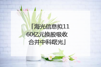 海光信息拟1160亿元换股吸收合并中科曙光