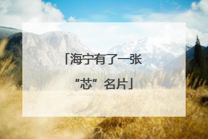 海宁有了一张“芯”名片