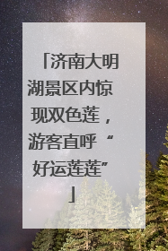 济南大明湖景区内惊现双色莲，游客直呼“好运莲莲”