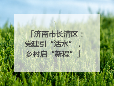 济南市长清区：党建引“活水”，乡村启“新程”