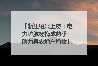 浙江绍兴上虞：电力护航杨梅成熟季 助力果农增产增收