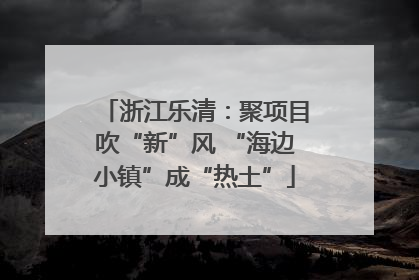 浙江乐清：聚项目吹“新”风 “海边小镇”成“热土”
