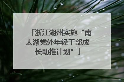 浙江湖州实施“南太湖党外年轻干部成长助推计划”