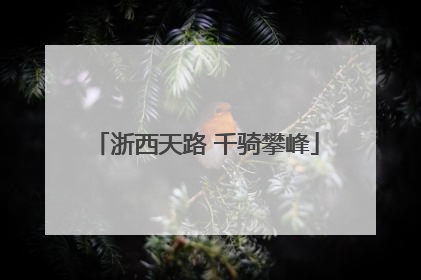 浙西天路 千骑攀峰