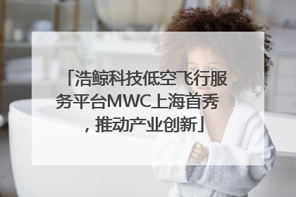 浩鲸科技低空飞行服务平台MWC上海首秀，推动产业创新