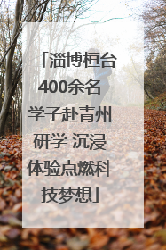 淄博桓台400余名学子赴青州研学 沉浸体验点燃科技梦想