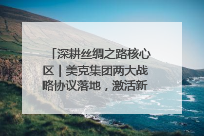 深耕丝绸之路核心区｜美克集团两大战略协议落地，激活新疆开放新动能