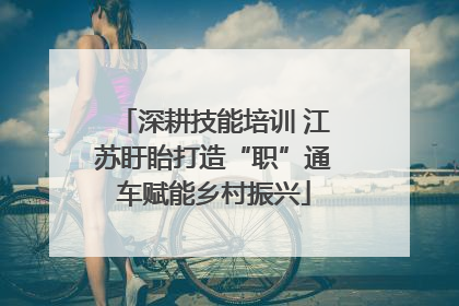 深耕技能培训 江苏盱眙打造“职”通车赋能乡村振兴