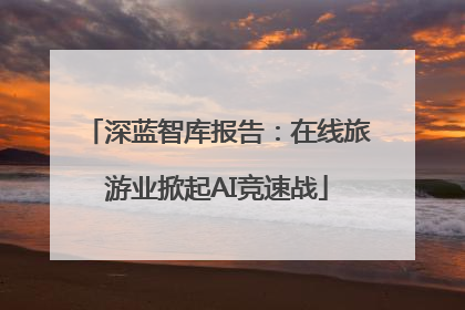 深蓝智库报告：在线旅游业掀起AI竞速战