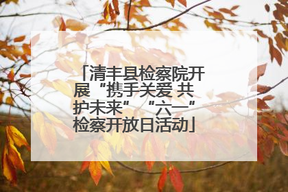 清丰县检察院开展“携手关爱 共护未来”“六一”检察开放日活动