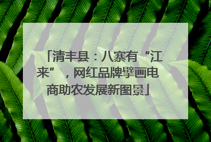 清丰县：八寨有“江来”，网红品牌擘画电商助农发展新图景