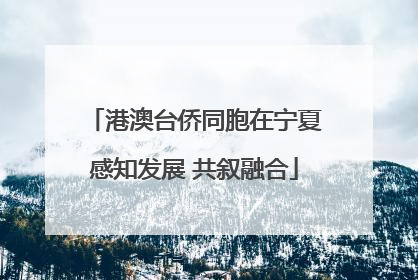 港澳台侨同胞在宁夏感知发展 共叙融合