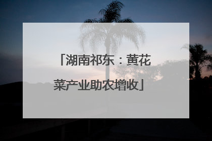 湖南祁东：黄花菜产业助农增收