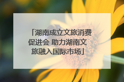 湖南成立文旅消费促进会 助力湖南文旅融入国际市场
