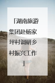 湖南旅游集团赴杨家坪村调研乡村振兴工作