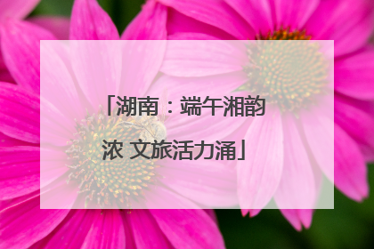 湖南：端午湘韵浓 文旅活力涌