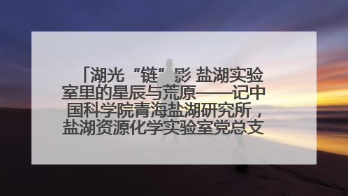 湖光“链”影 盐湖实验室里的星辰与荒原——记中国科学院青海盐湖研究所，盐湖资源化学实验室党总支书记、副主任刘忠