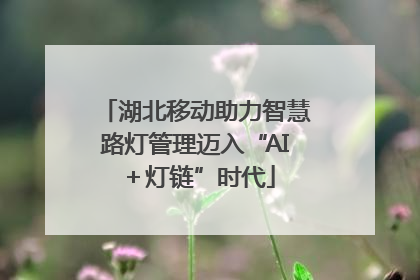 湖北移动助力智慧路灯管理迈入“AI＋灯链”时代