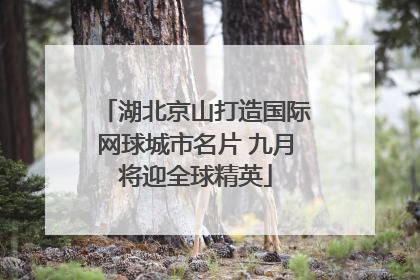 湖北京山打造国际网球城市名片 九月将迎全球精英