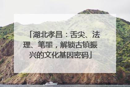湖北孝昌：舌尖、法理、笔墨，解锁古镇振兴的文化基因密码