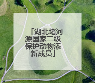 湖北堵河源国家二级保护动物添新成员