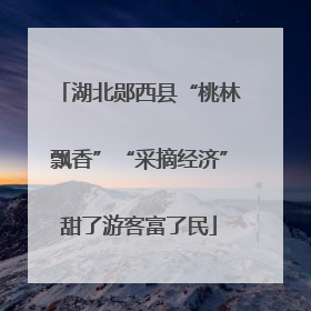 湖北郧西县“桃林飘香”“采摘经济”甜了游客富了民