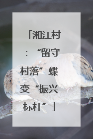 湘江村：“留守村落”蝶变“振兴标杆”