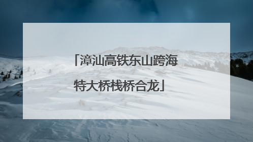 漳汕高铁东山跨海特大桥栈桥合龙