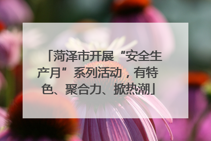 菏泽市开展“安全生产月”系列活动，有特色、聚合力、掀热潮